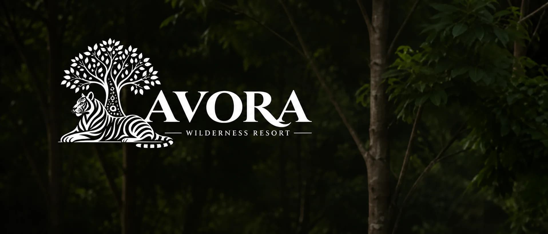Avora Wilderness Resort cottages surrounded by forest